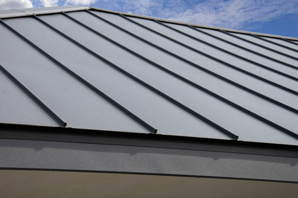 Best Solar Panel Roofing Installation  in Forest Heights, MD